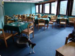 Resize of DSC05516.JPG